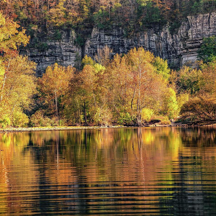 Autumn Landscape Photograph - Buffalo River Reflections of Autumn Along Roark Bluff 1x1 by Gregory Ballos