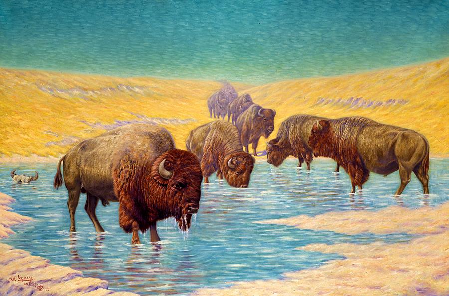 Buffalo Painting - Buffalo Scene by Mountain Dreams