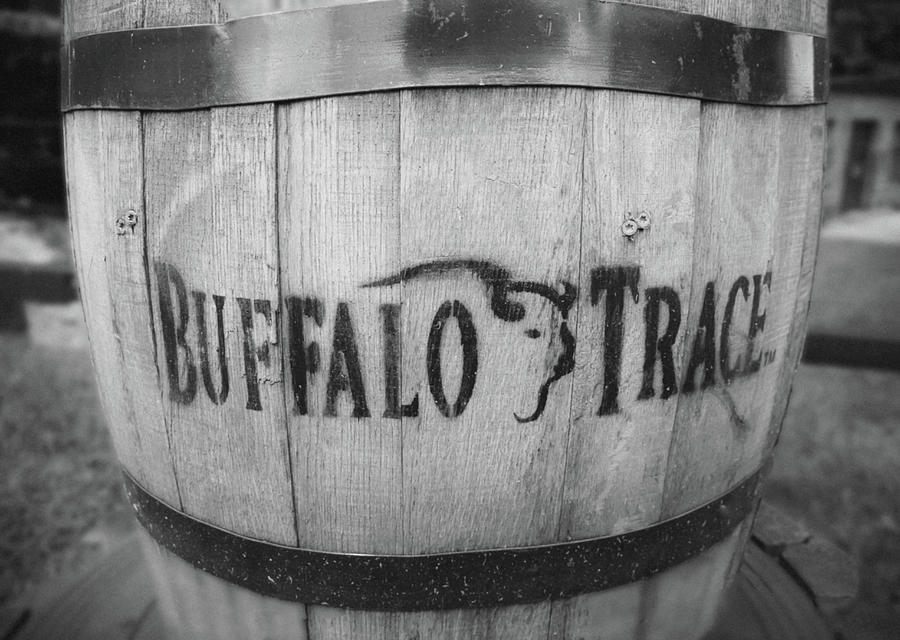 Buffalo Trace Photograph