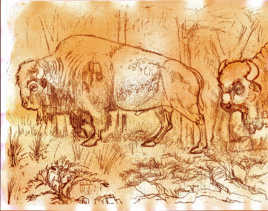 Buffalo Trail  Drawing by Larry Campbell