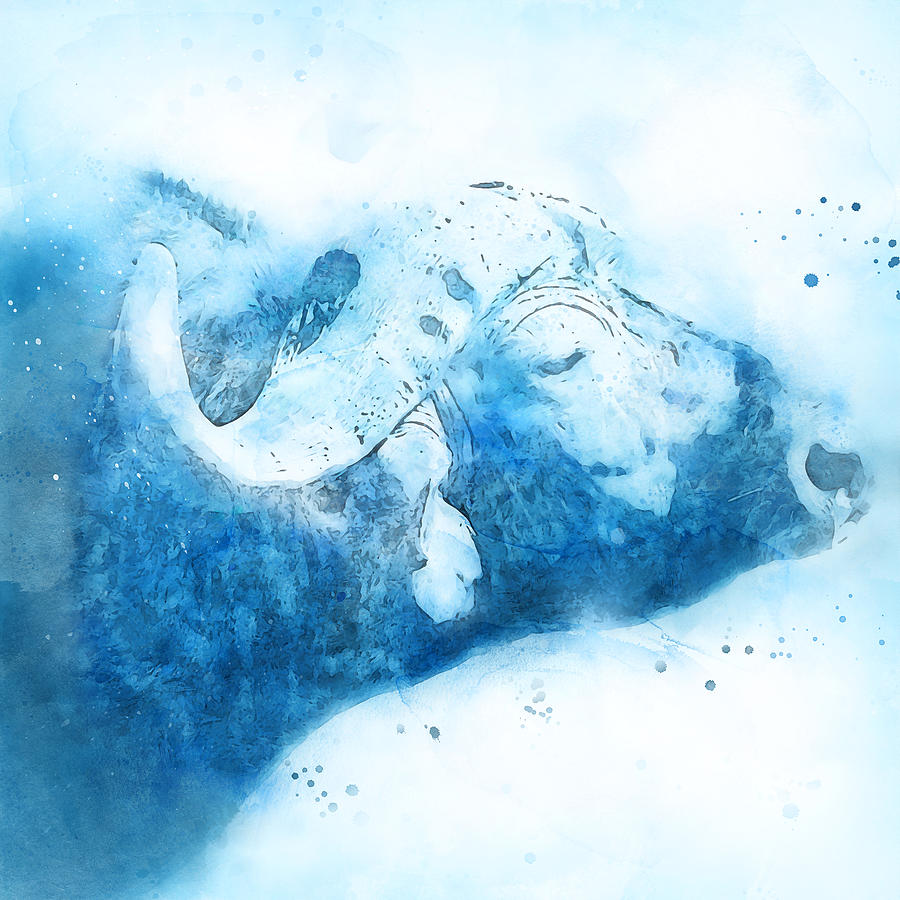 Buffalo, Watercolor - 02 Painting by AM FineArtPrints