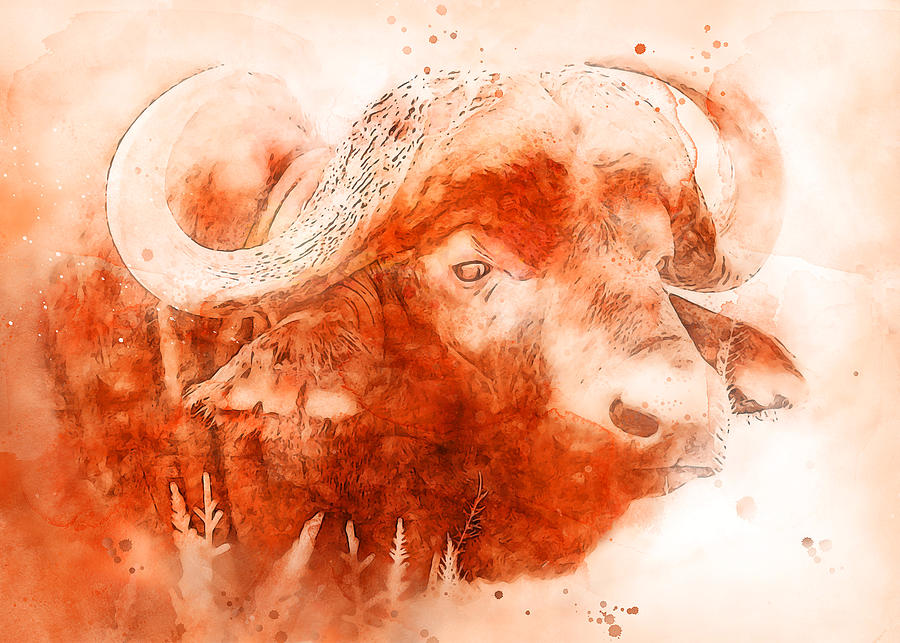 Buffalo, Watercolor - 05 Painting by AM FineArtPrints