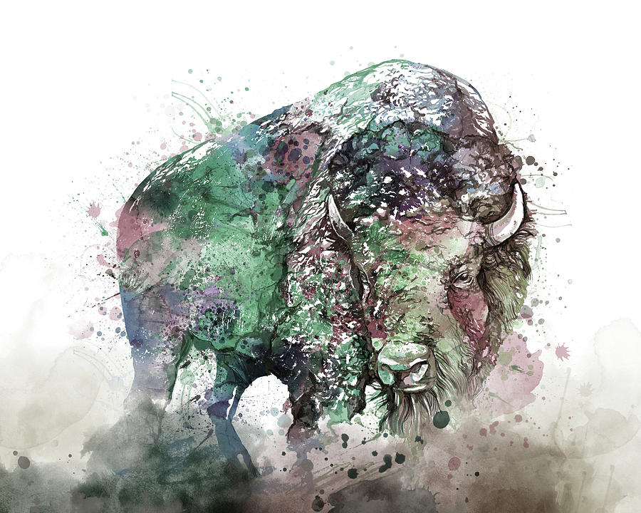 Buffalo Watercolor Digital Art by Bekim M
