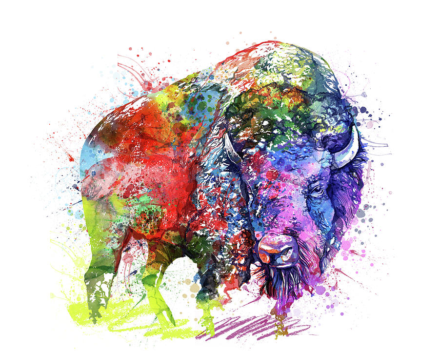 Buffalo Watercolor Colorful Digital Art