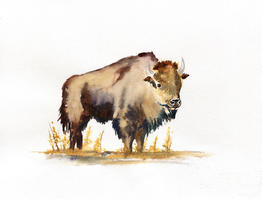 Buffalo Watercolor Painting by Melly Terpening
