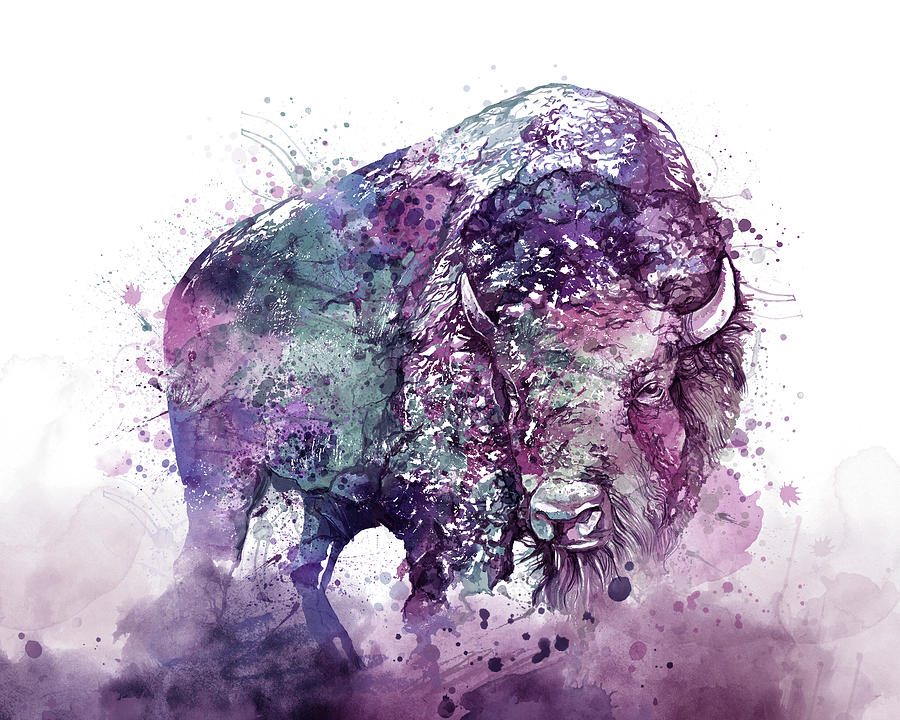 Buffalo Watercolor Purple Digital Art by Bekim M
