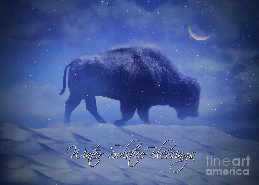 Buffalo with Crescent Moon and Snow Winter Solstice  Photograph by Stephanie Laird