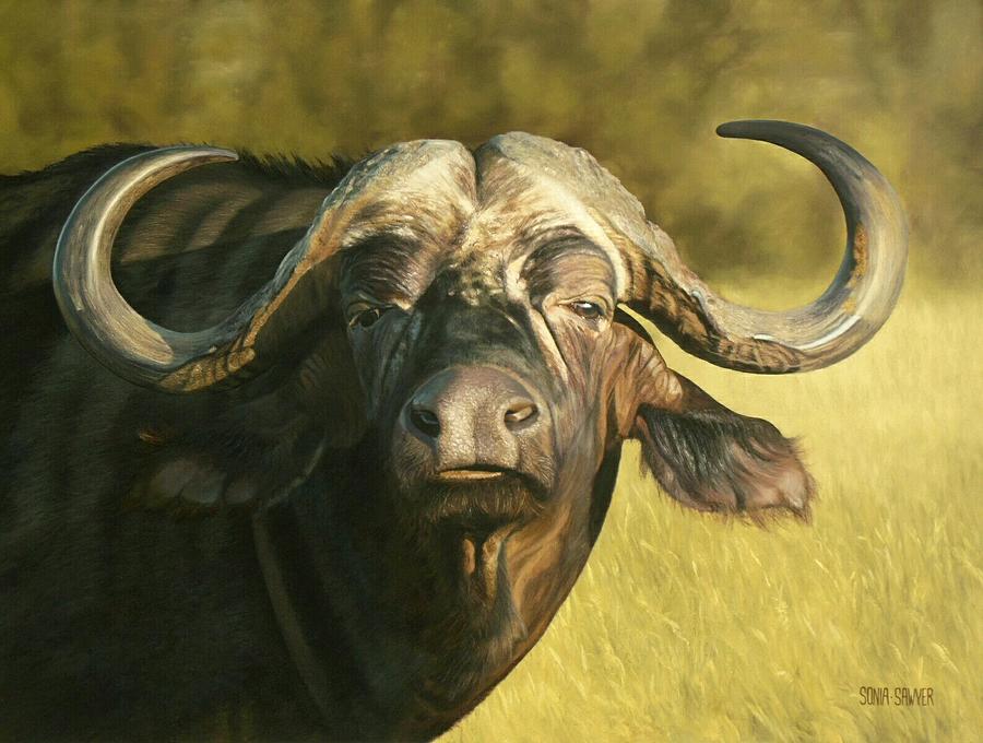 Buffalo Brave Painting by Sonia Sawyer