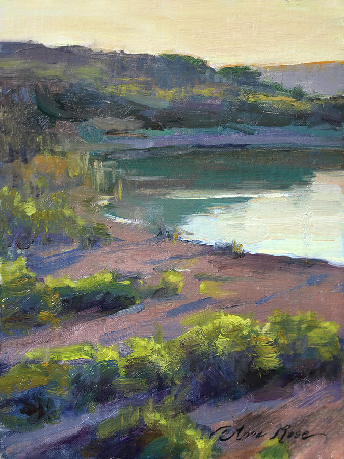 Buffelsdrift Pond at Sunset Painting by Anna Rose Bain