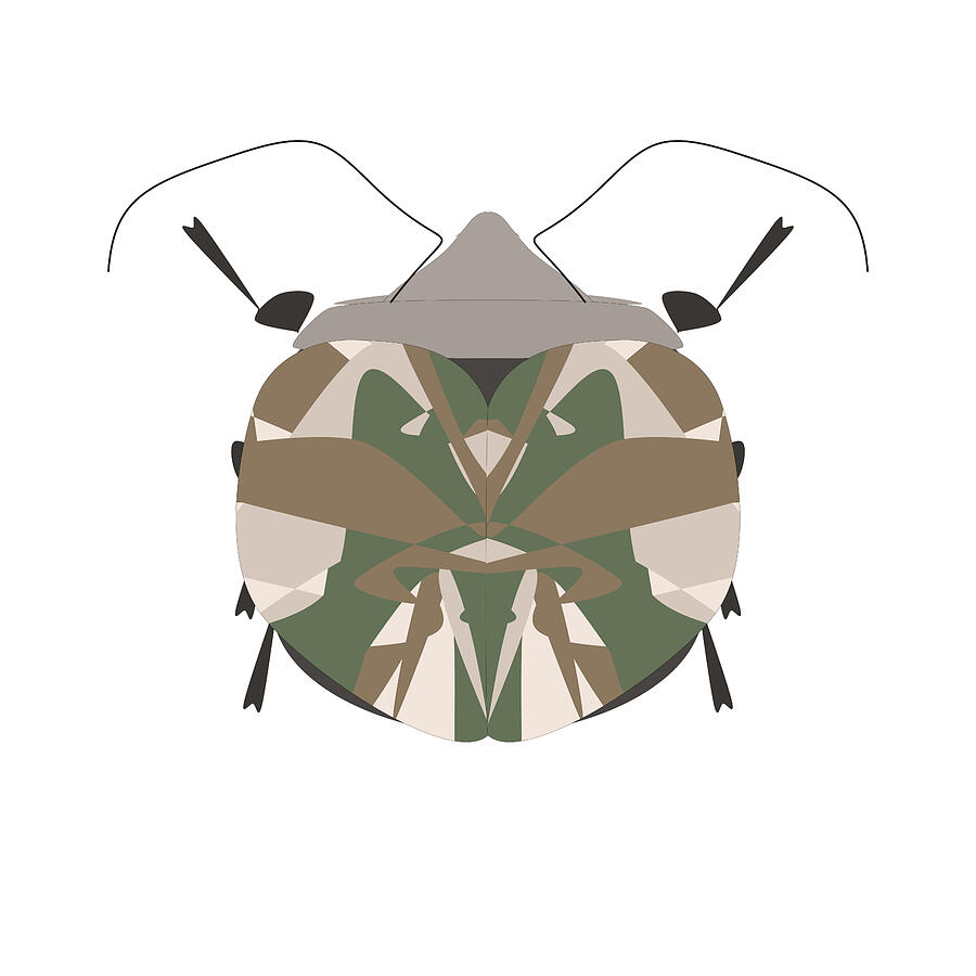Wall Decor Digital Art - Bug 11 by Eva Butterfly Wall Decor Digital Art - Bug 11 by Eva Butterfly