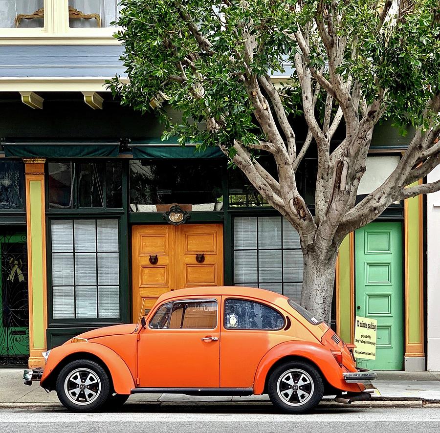 Bug And Doors Photograph by Julie Gebhardt