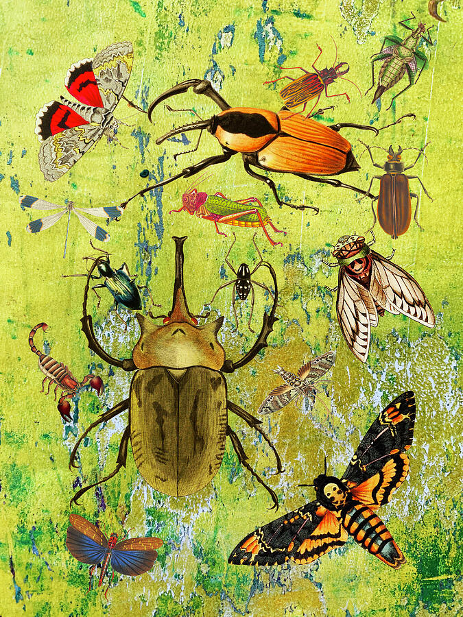 Bug Fiesta Mixed Media by Lorena Cassady - Fine Art America