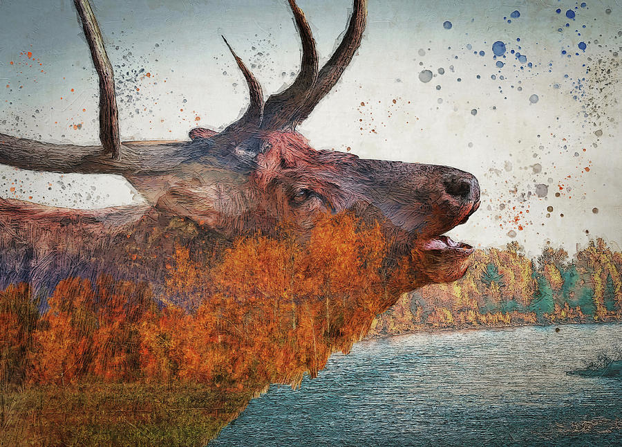 Bugling Bull Elk Autumn Landscape Mixed Media by Dan Sproul
