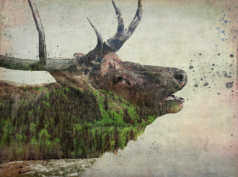 Bugling Bull Elk Landscape Mixed Media by Dan Sproul