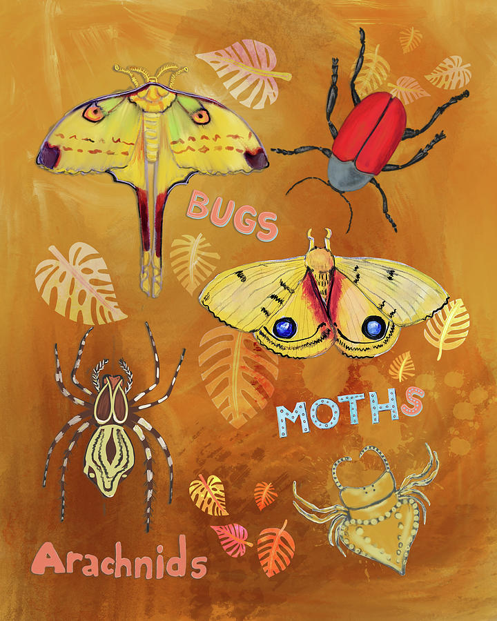 Bugs, Arachnid and Moths Painting by Blenda Studio