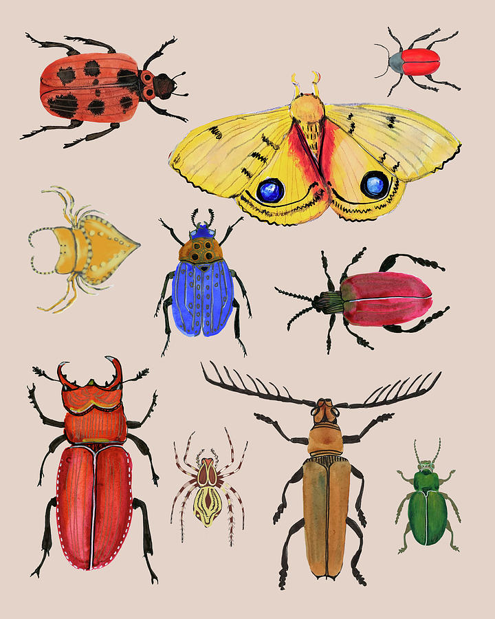 Bugs, Beetles and a Moth Painting by Blenda Studio