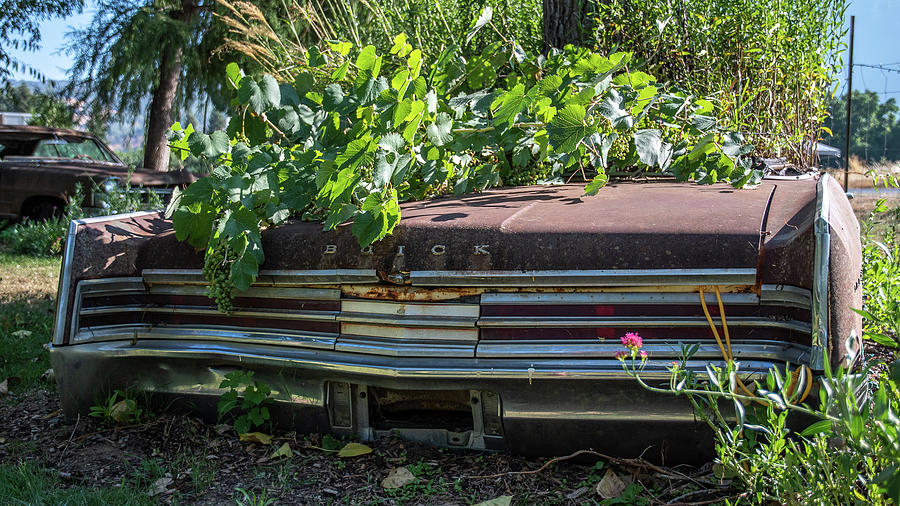 Buick planter  Photograph by Bryan Xavier