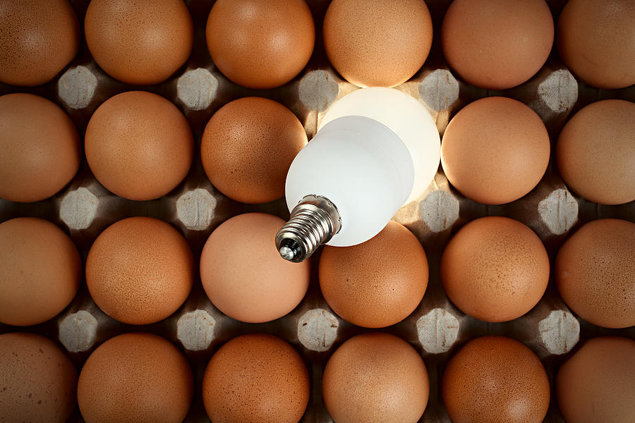 Bulb among eggs Photograph by Lebazele