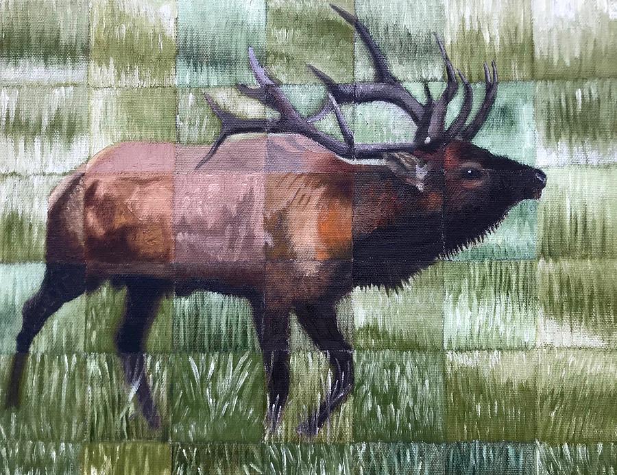 Bull Elk, Colorado Painting by Dustin Miller