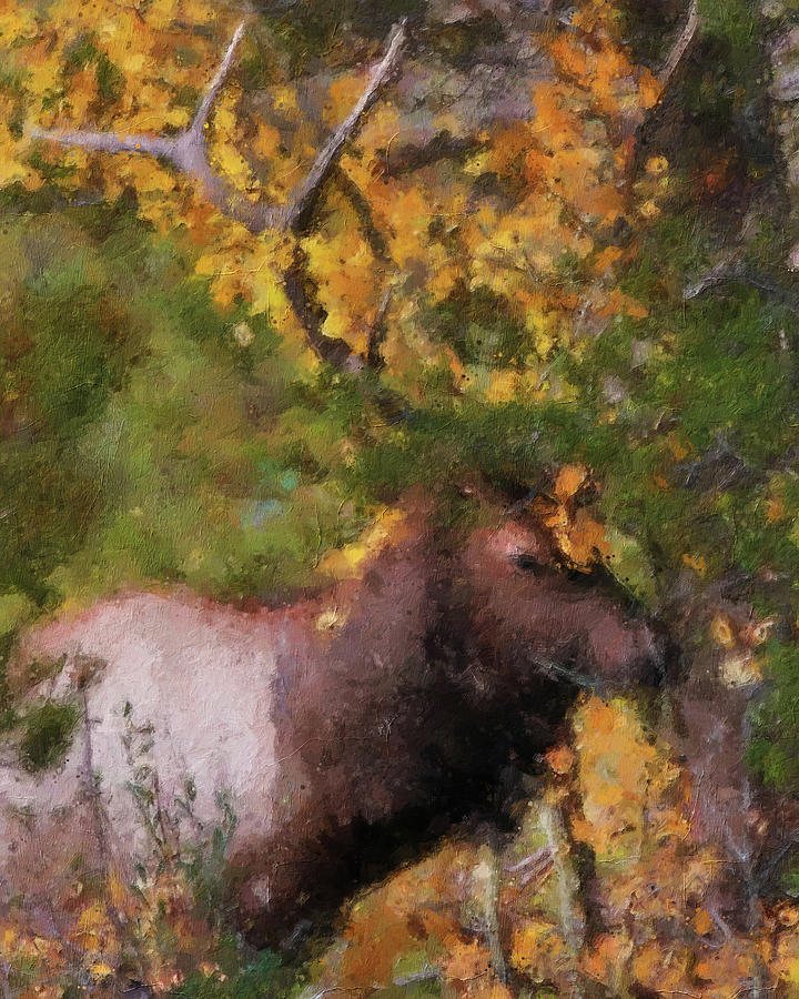 Bull Elk In Autumn Leaves Painting by Dan Sproul