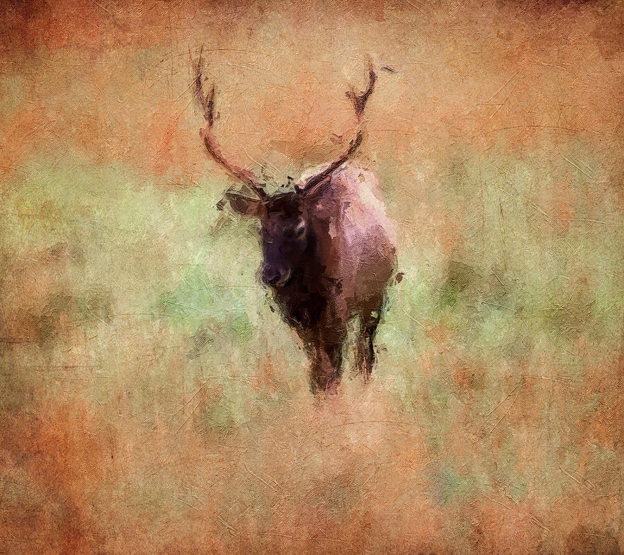Bull Elk In Smoky Mountains Painting by Dan Sproul