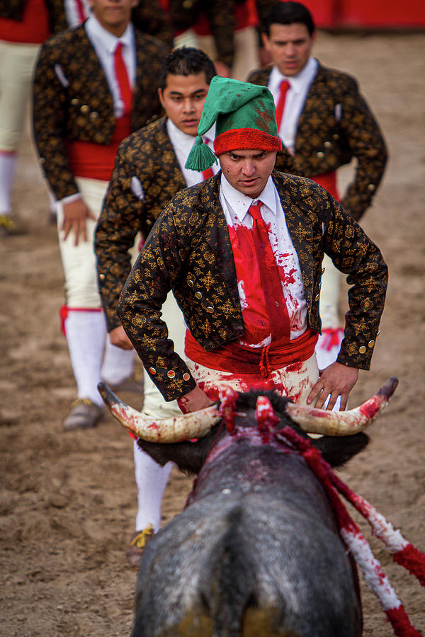 Bull Fight-6 Photograph by Ronald Castle - Fine Art America