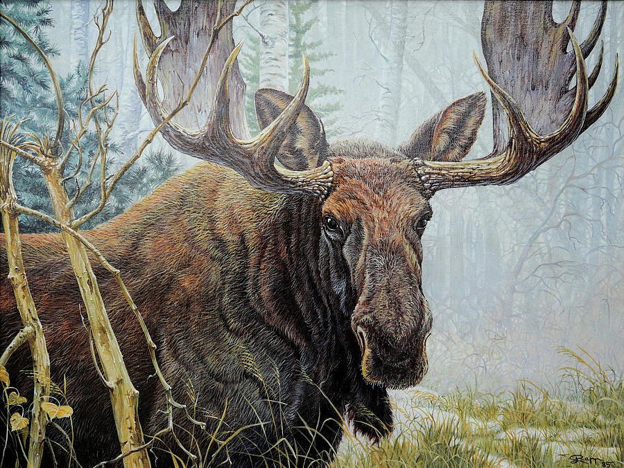Bull Moose Painting by Otto Rapp