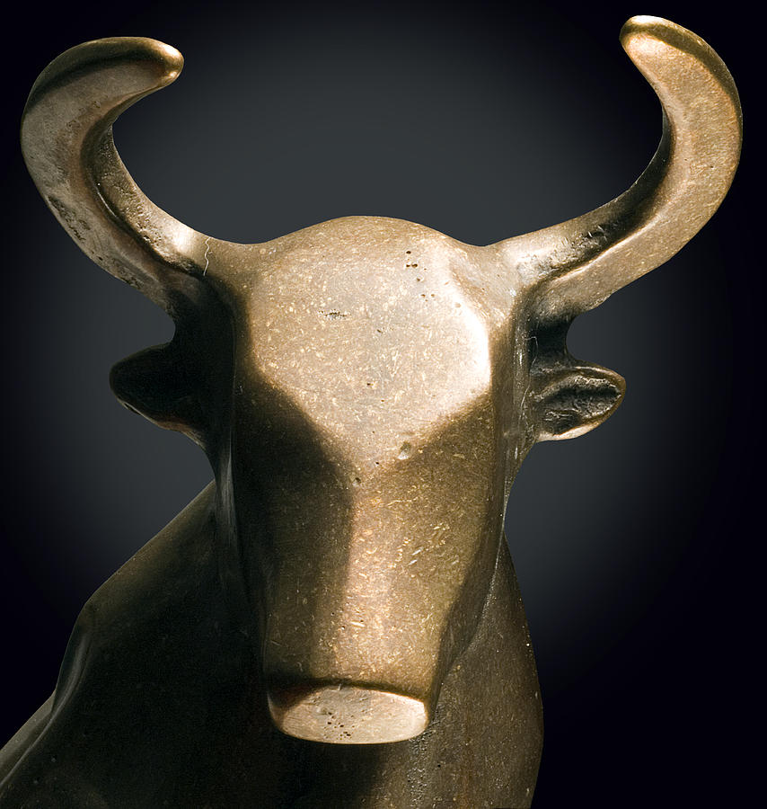 Bull On Black Photograph by ATU Images Bull On Black Photograph by ATU Images