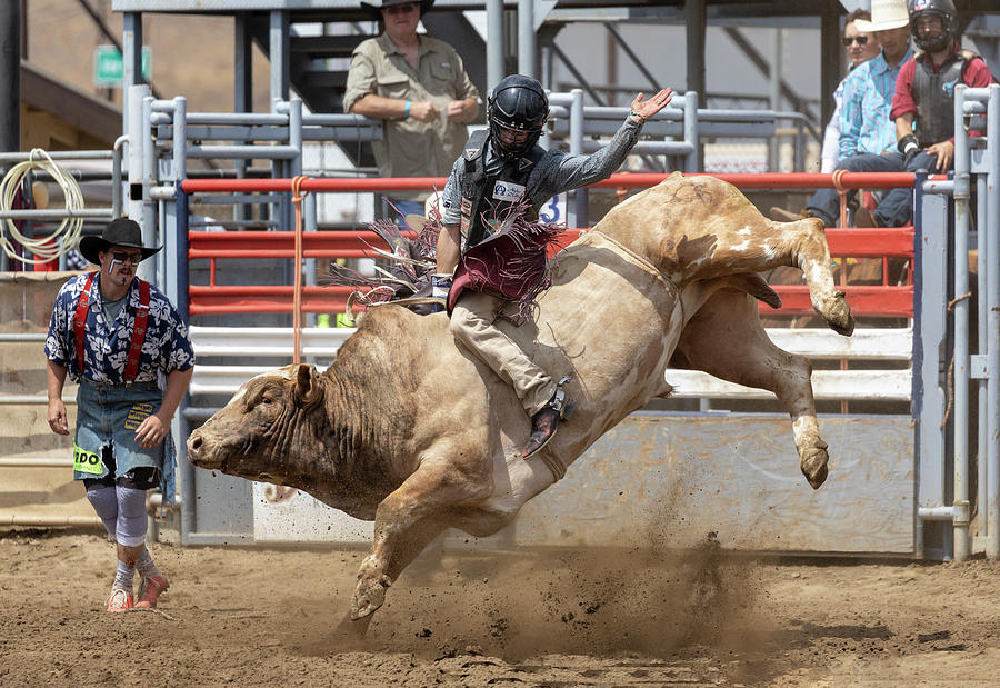 Bull Rider at Lakeside Rodeo Photograph by Nathan Rupert