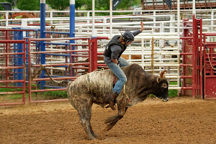 Bull Riding Photograph