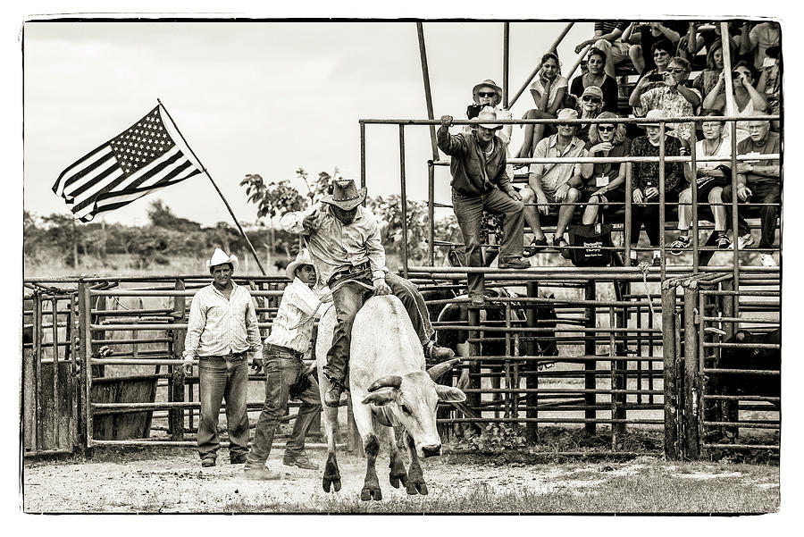 Bull Riding Photograph by Lou Novick
