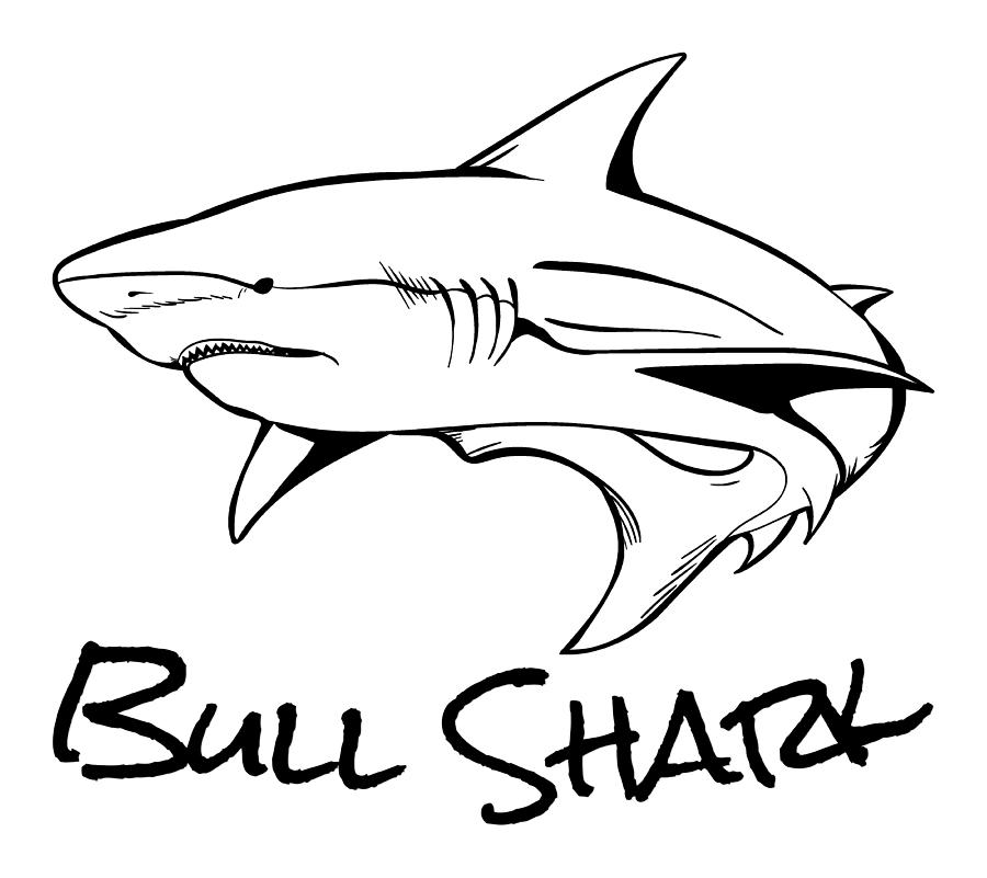 Bull Shark Sketch Cool Shark Digital Art by Kevin Garbes Pixels