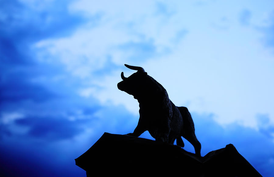 Bull Statue Silhouette Photograph by Kameleon007