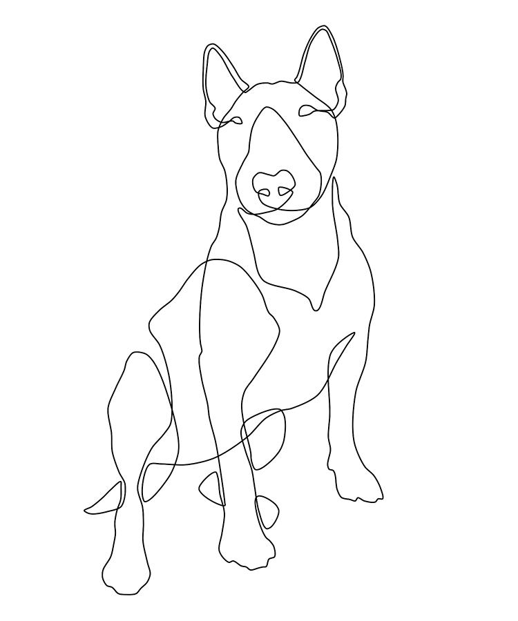 Bull Terrier Line Art Drawing by Jindra Noewi