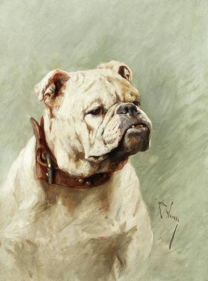 Jaws Painting - Bulldog by Arthur Wardle