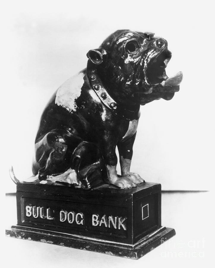 Bulldog Coin Bank Photograph by Granger