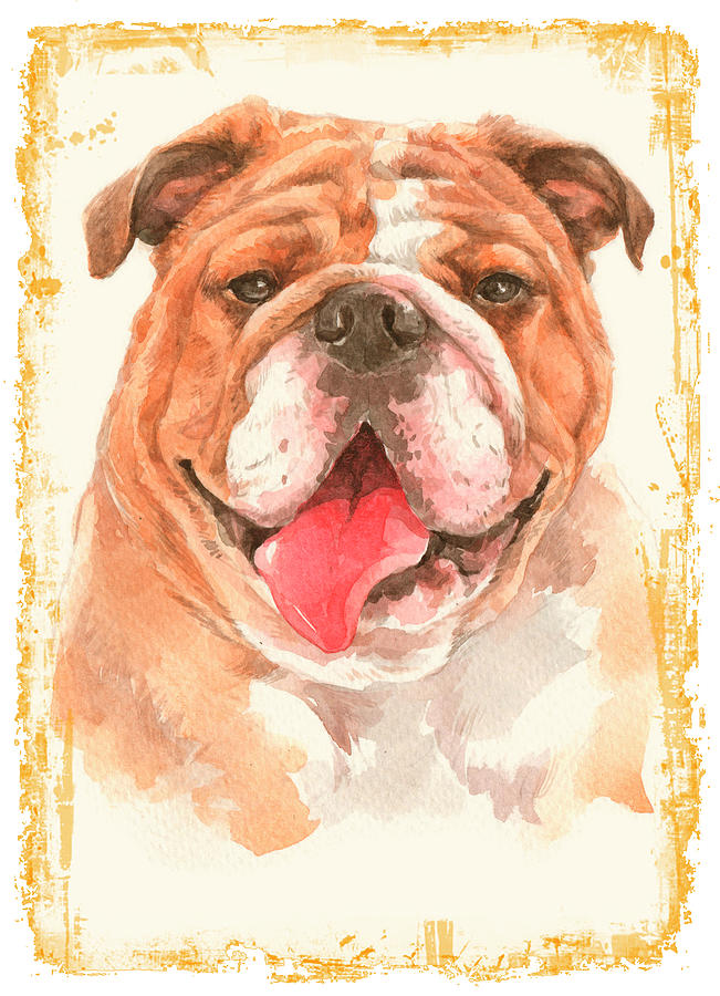 Bulldog Dog Digital Art