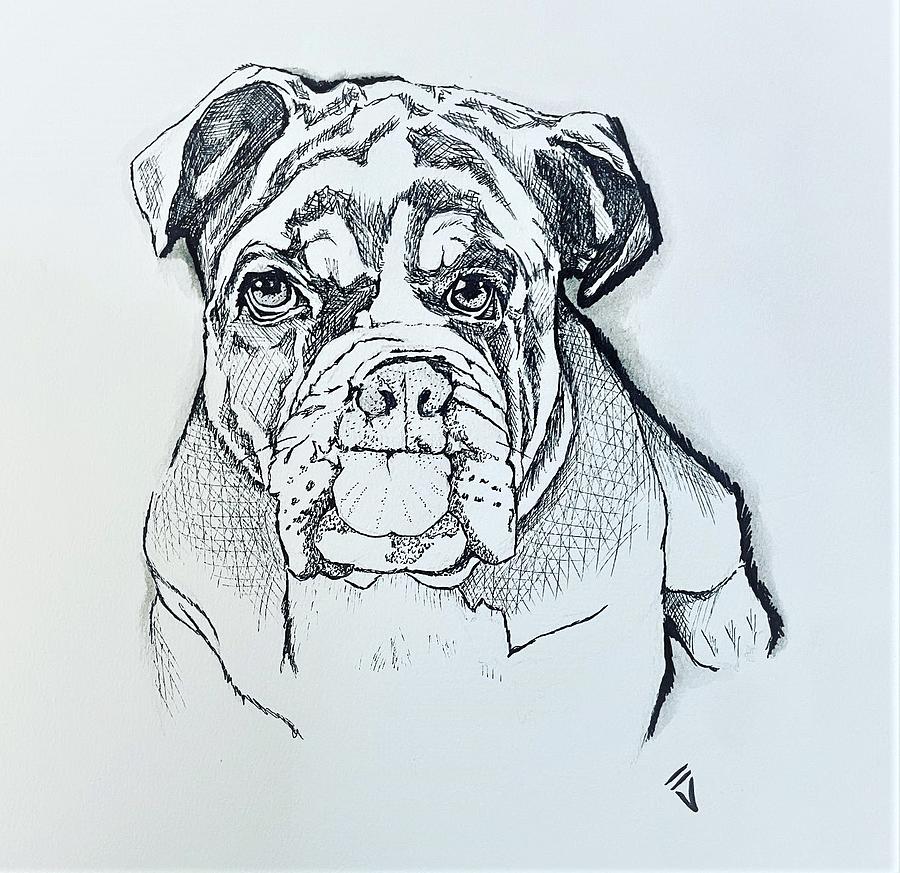 Bulldog Love Drawing by Victoria Dietz