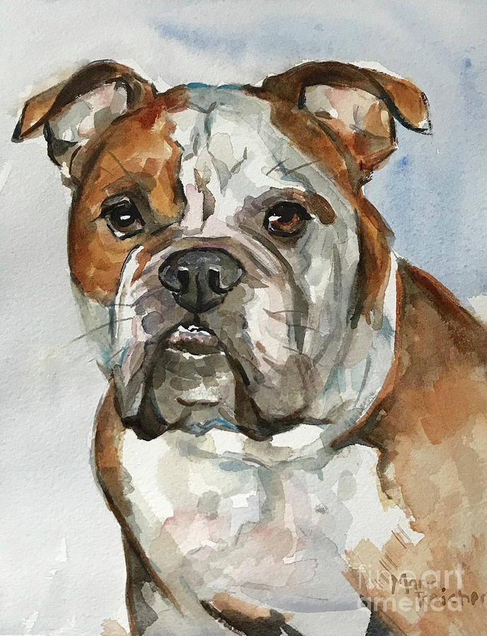 Bulldog Painting by Maria Reichert