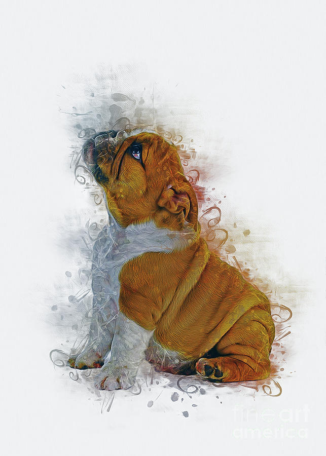 Bulldog Puppy Art Digital Art