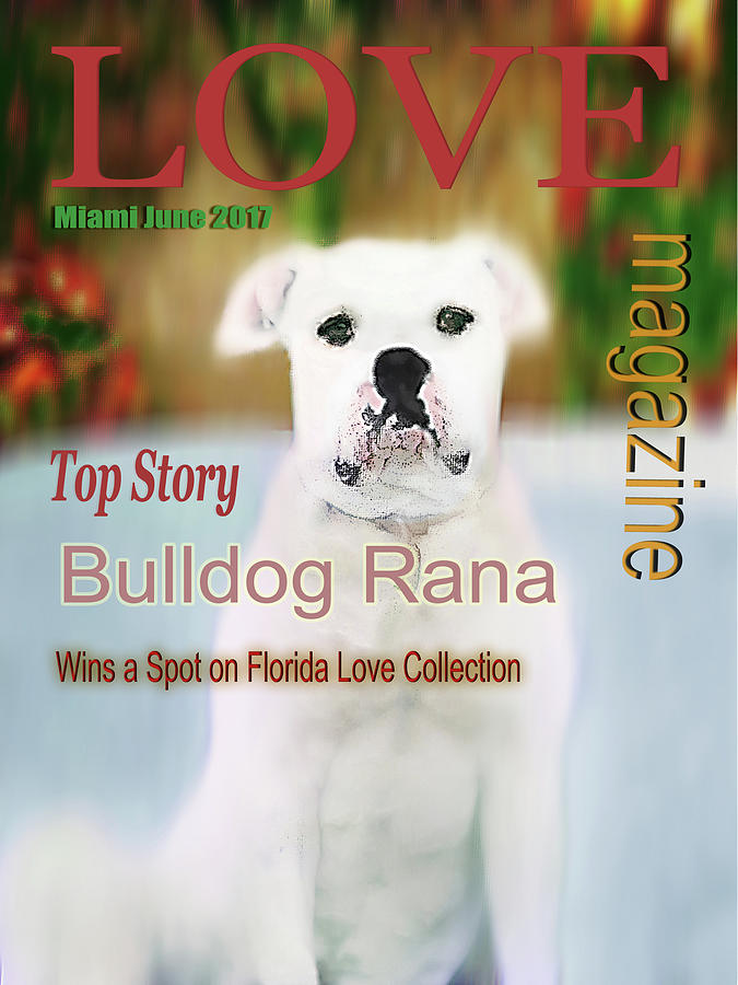 Art Gallery Online Digital Art - Bulldog Rana Poster 3 by Miss Pet Sitter