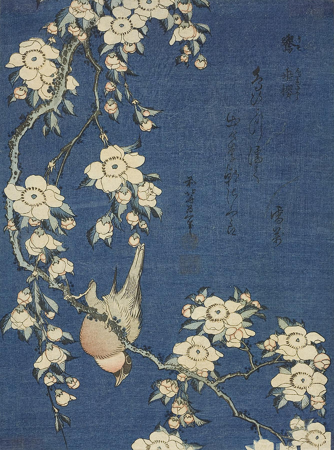 Bullfinch and Weeping Cherry, from an untitled series of flowers and birds Relief by Katsushika Hokusai