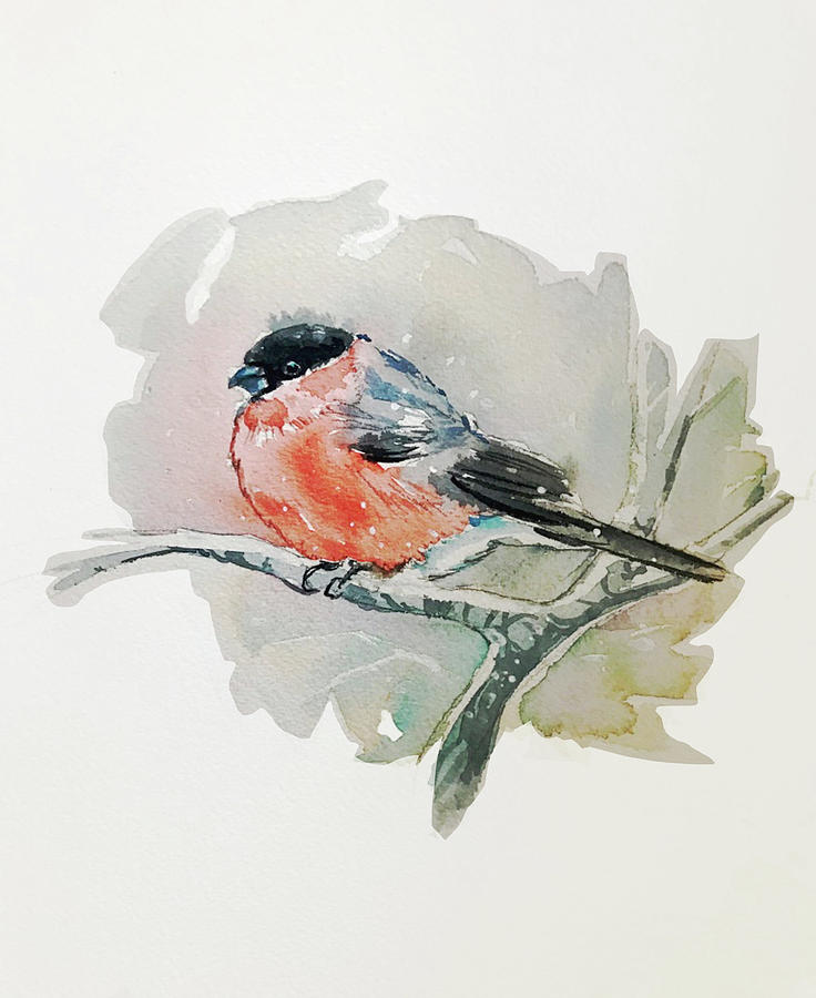 Birds Painting - Bullfinch by Luisa Millicent