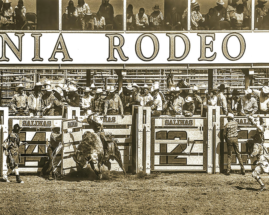 Bullriding, Salinas Rodeo, California Photograph by Don Schimmel