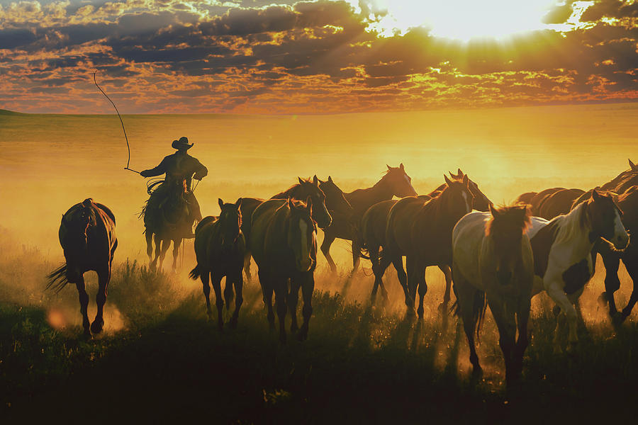 Bullwhip Cowboy with Horse Herd Photograph by Roam Photos - Fine Art