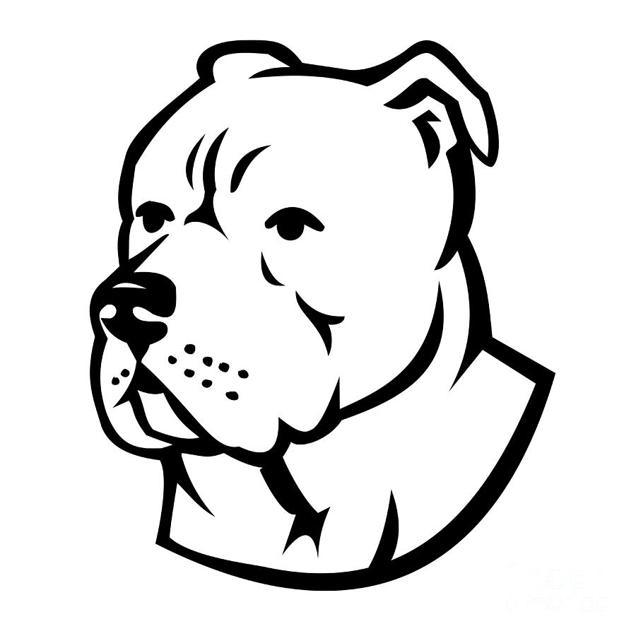 Bully-Dog-head-side-MASCOT Digital Art by Aloysius Patrimonio - Fine ...