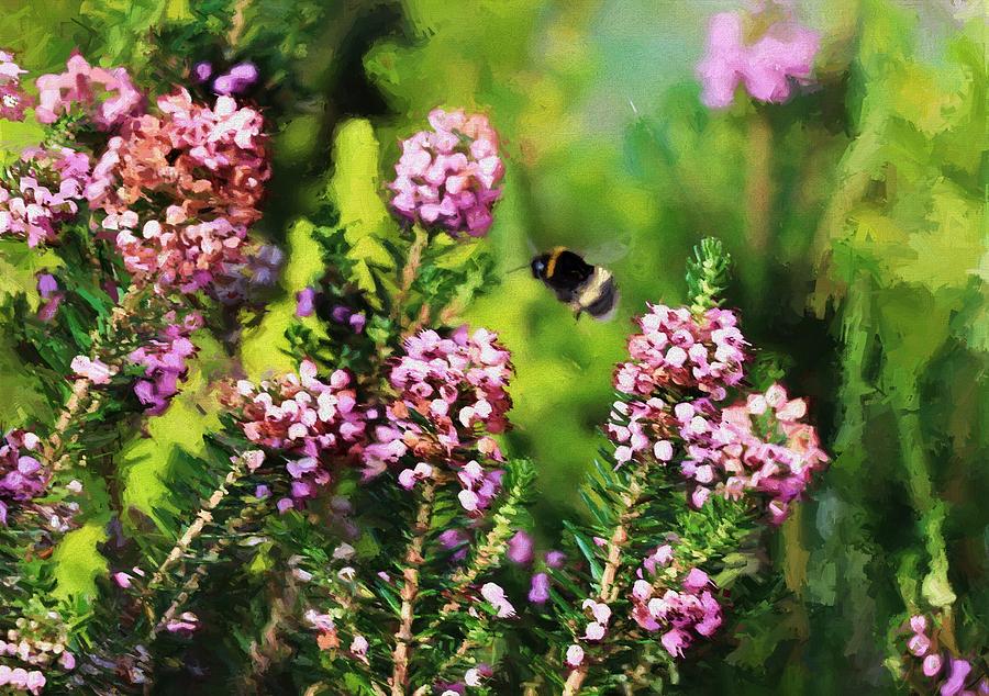 Bumble Bee amongst the Heather Digital Art by Charmaine Zoe
