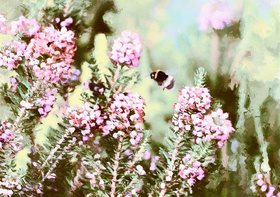 Bumble Bee amongst the Heather II Digital Art by Charmaine Zoe