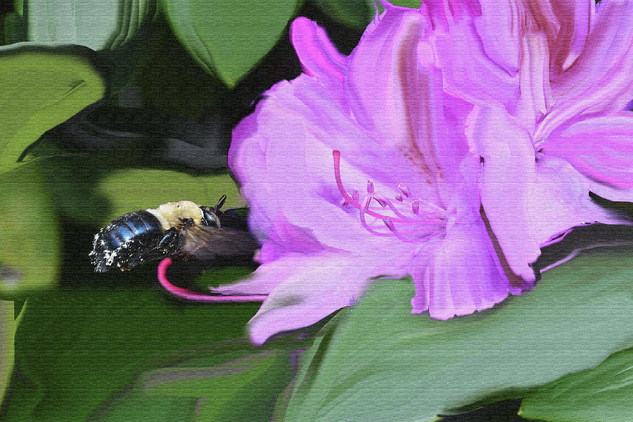 Bumble bee flying in for the nectar textured paintography Photograph by Dan Friend