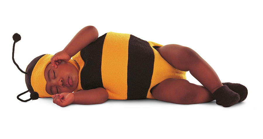 Bumblebee #1 Photograph by Anne Geddes